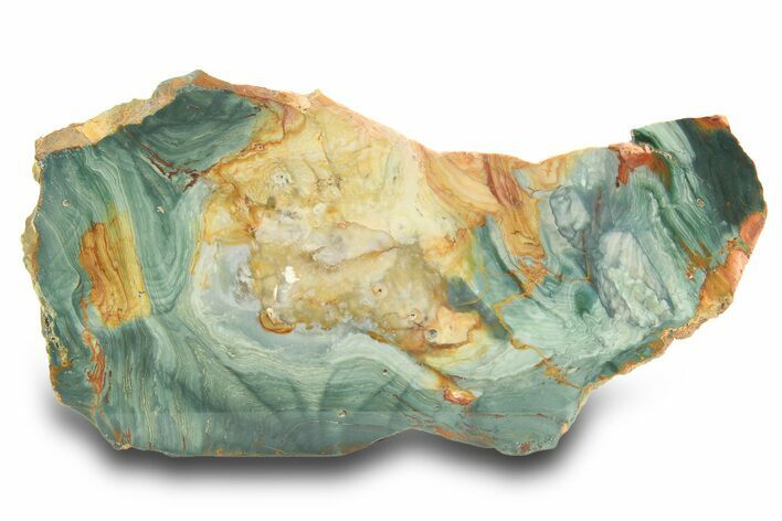 Gary Green Jasper (Larsonite) Bog Wood Slab - Oregon #299317